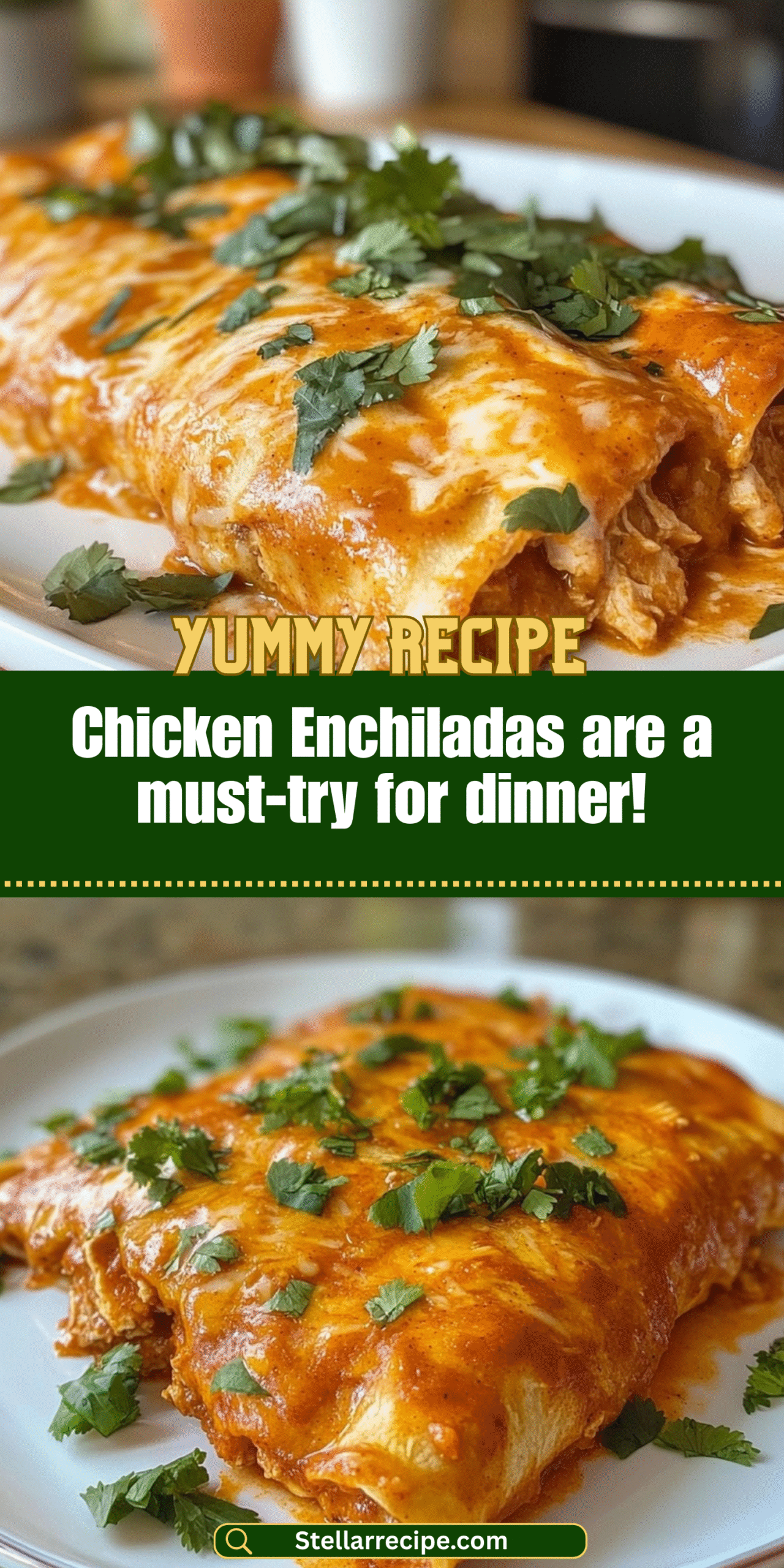 Chicken Enchiladas are a must-try for dinner!