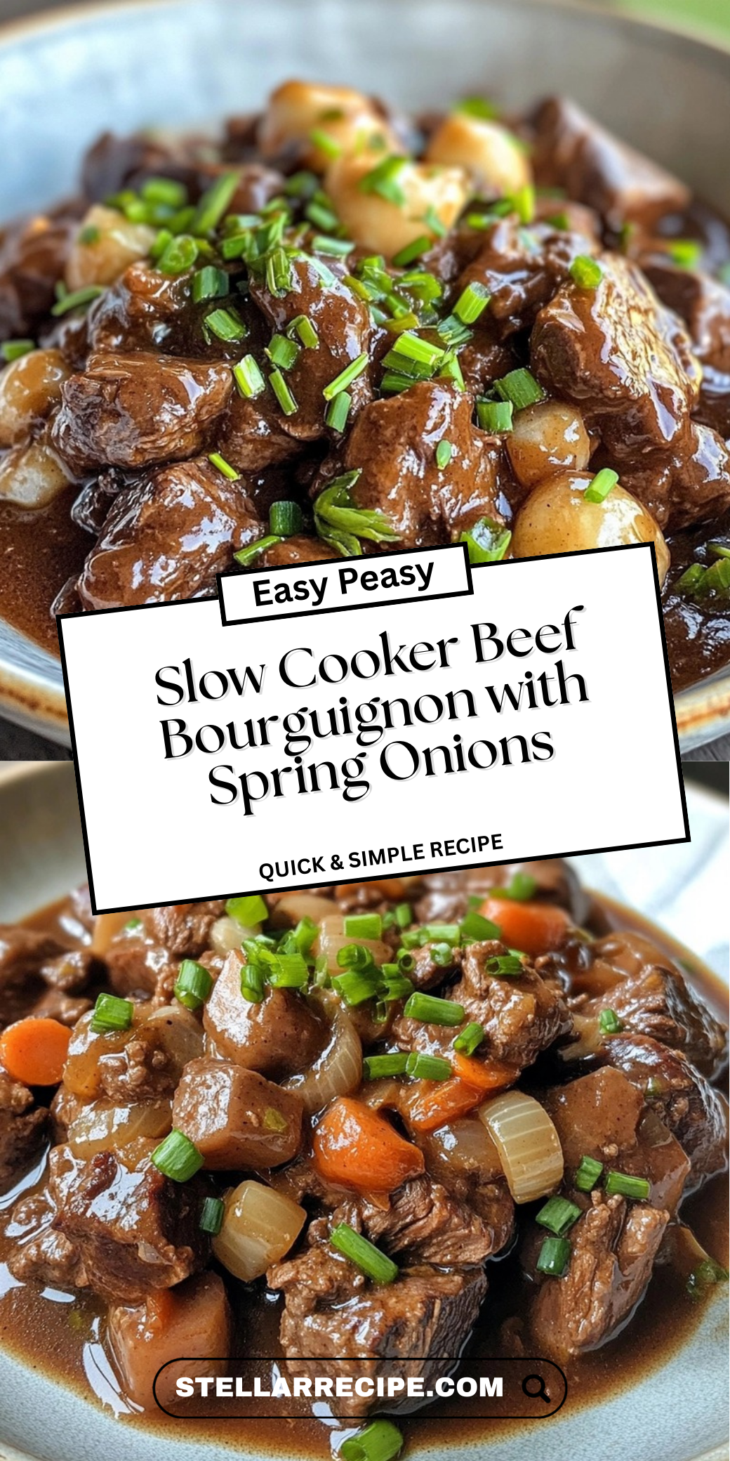 Slow Cooker Beef Bourguignon with Spring Onions